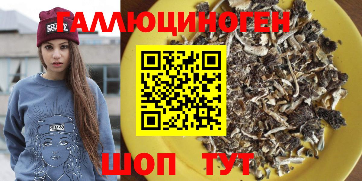 Псилоцибиновые грибы MAGIC MUSHROOMS Кострома