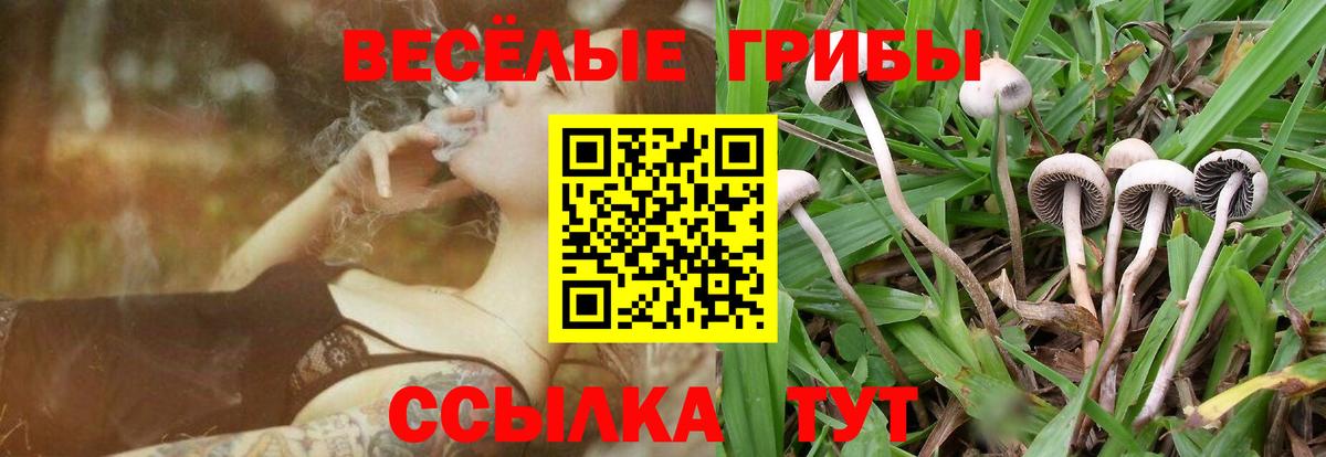 Псилоцибиновые грибы мухоморы  купить закладку  Псилоцибиновые грибы мицелий  Кострома  Вход с VPN 