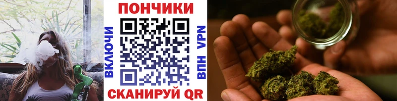 Бошки марихуана OG Kush МЕГА как войти Кострома