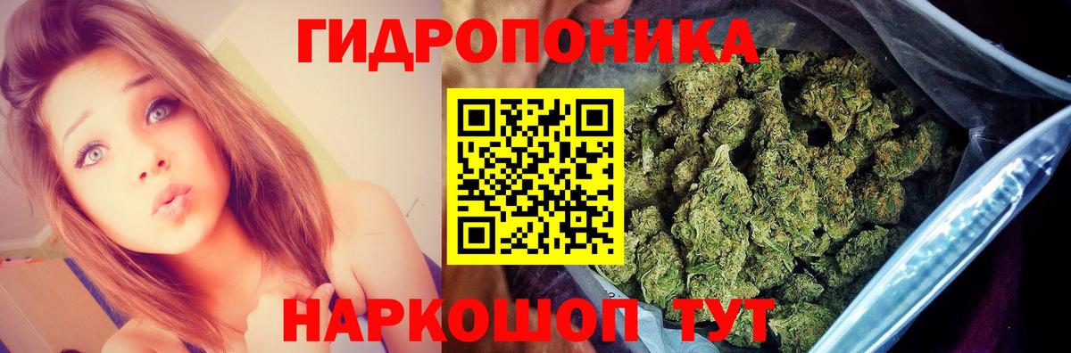 Конопля план Кострома
